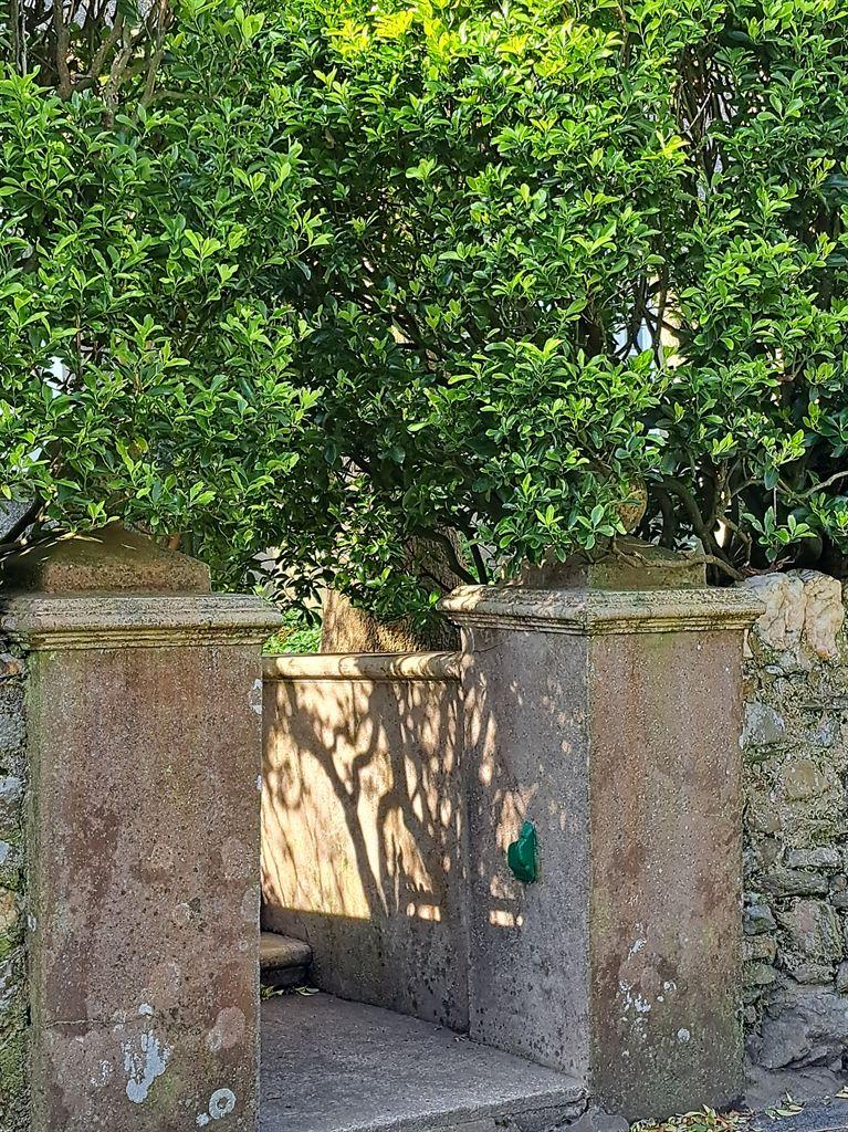 gate