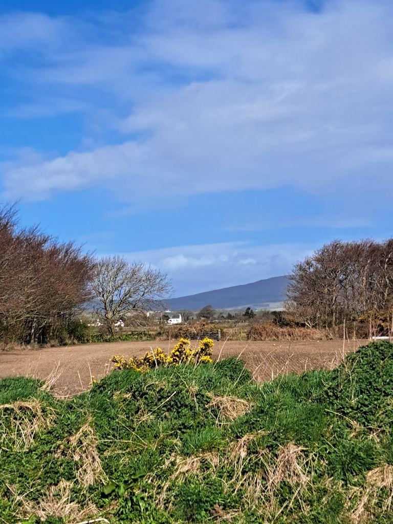 gorse&hill