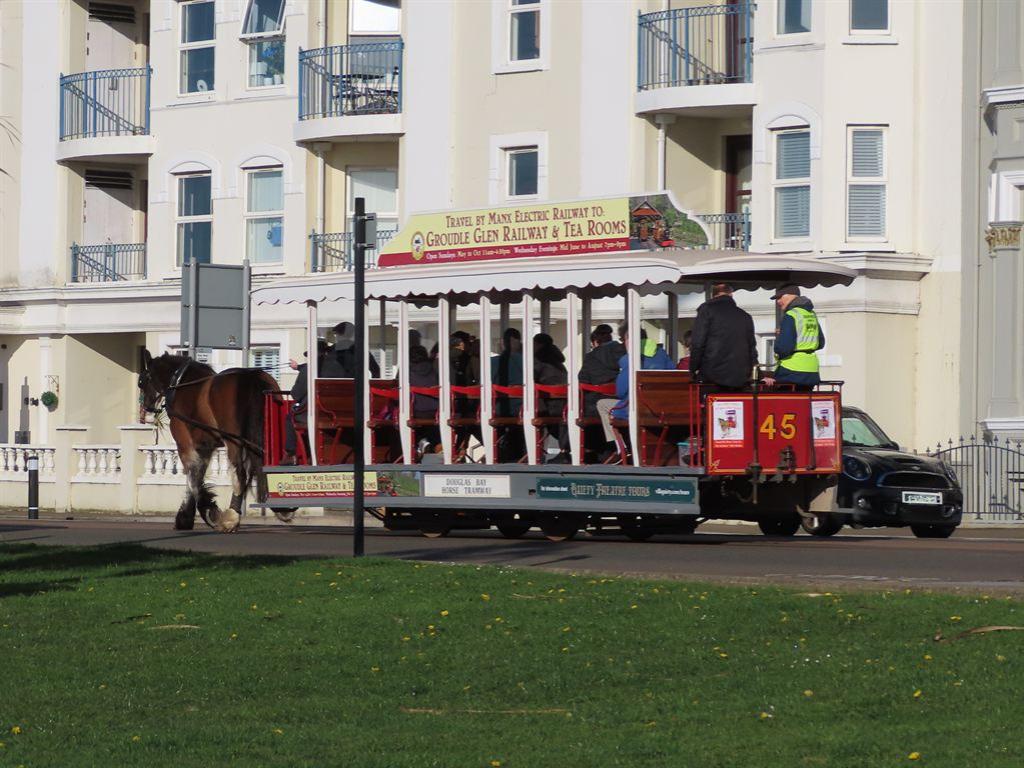 horsetram1