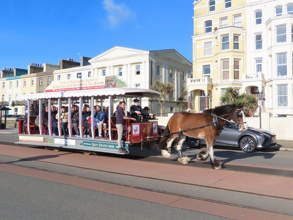 horsetram2