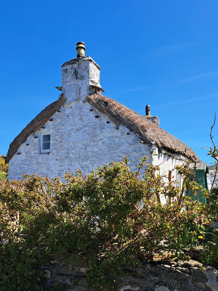 thatch
