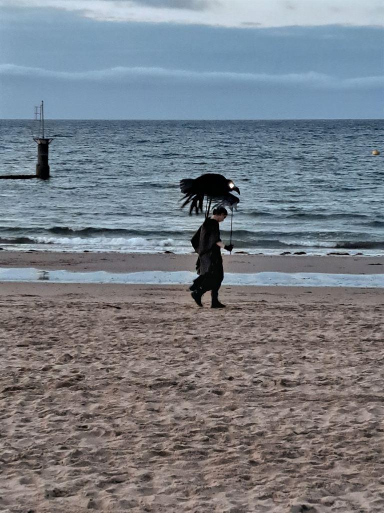 raven