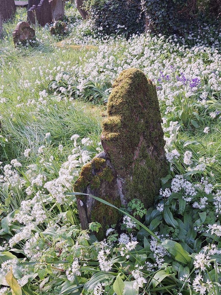 braddan1