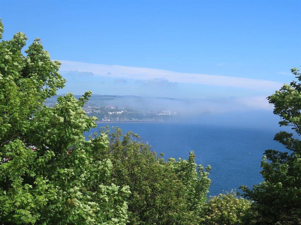 mist