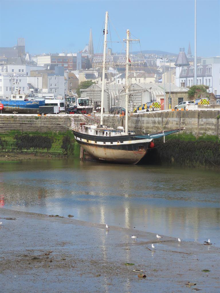 harbour2