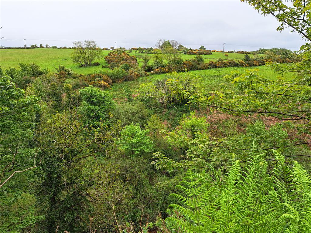 green1