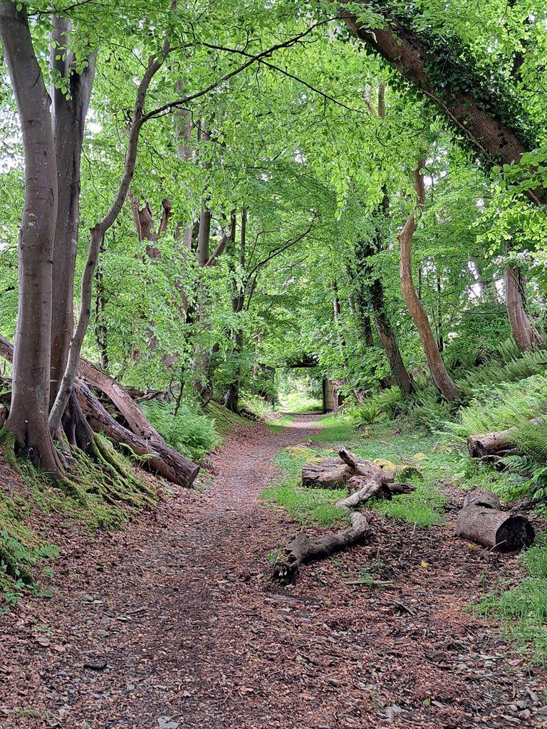 path