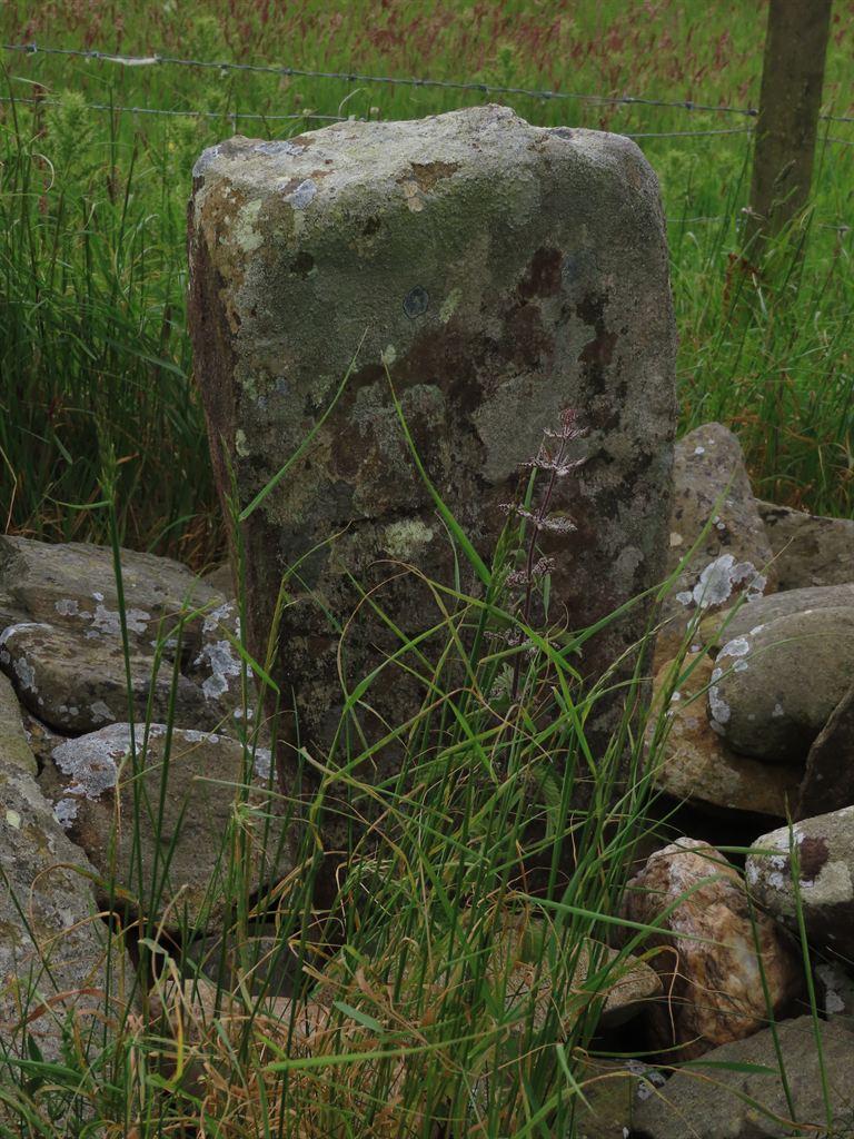 stones2