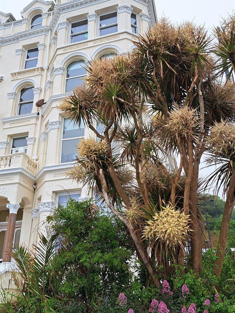 hotel&palm