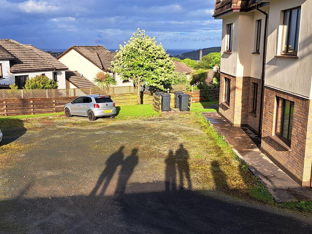 shadows