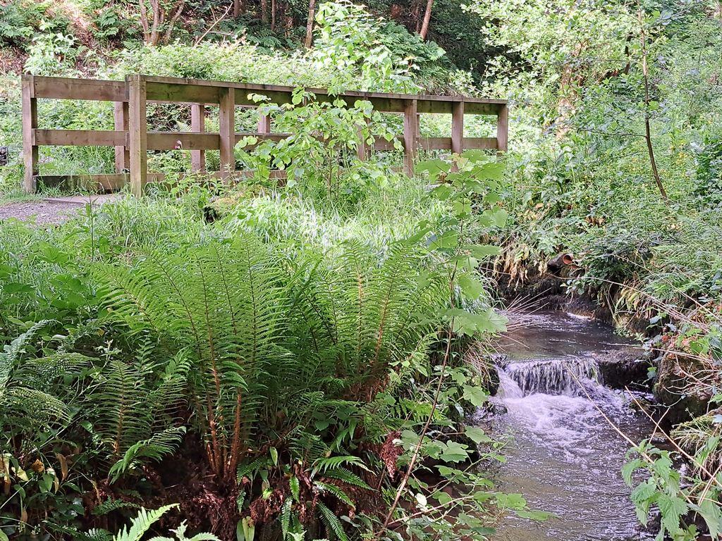 bridge2