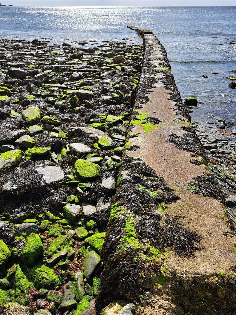 jetty