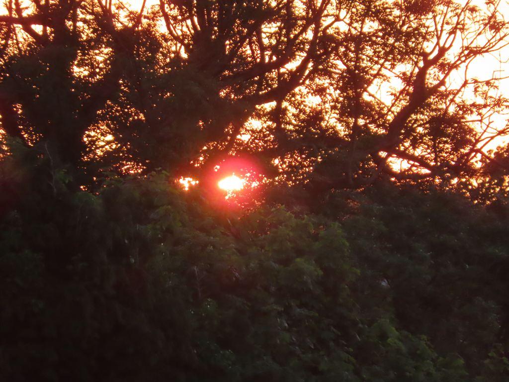 sunrise1