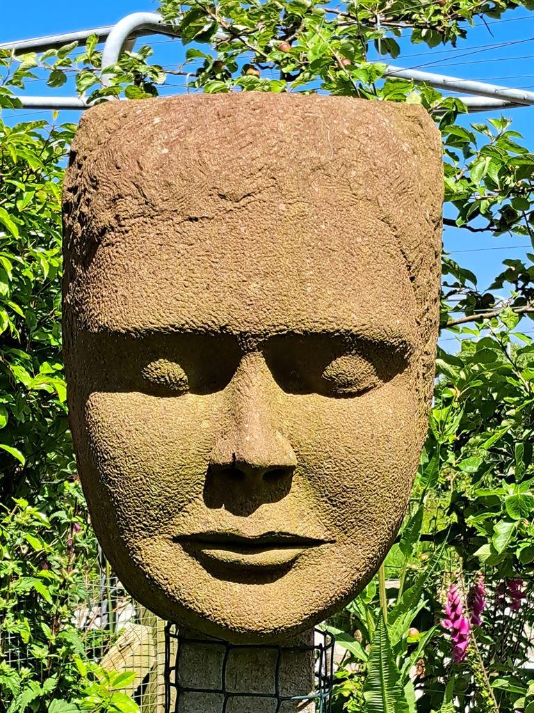 face1
