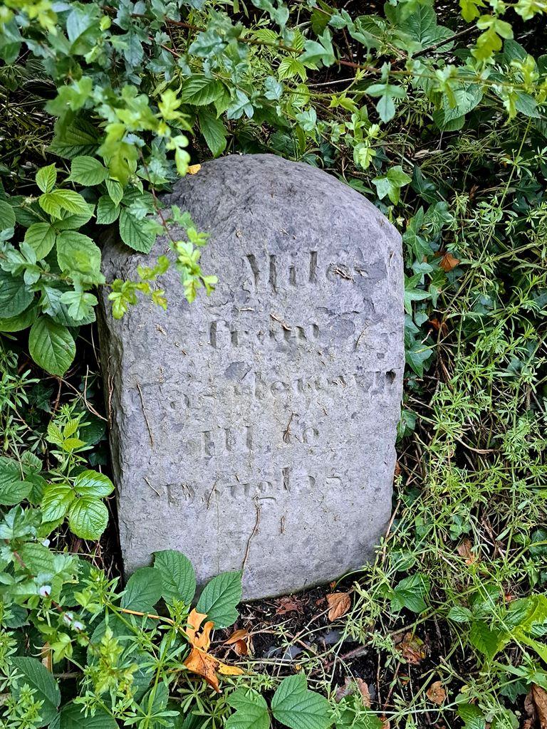 milestone