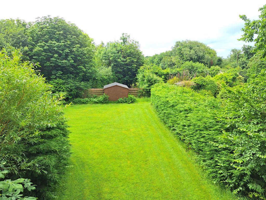 lawn