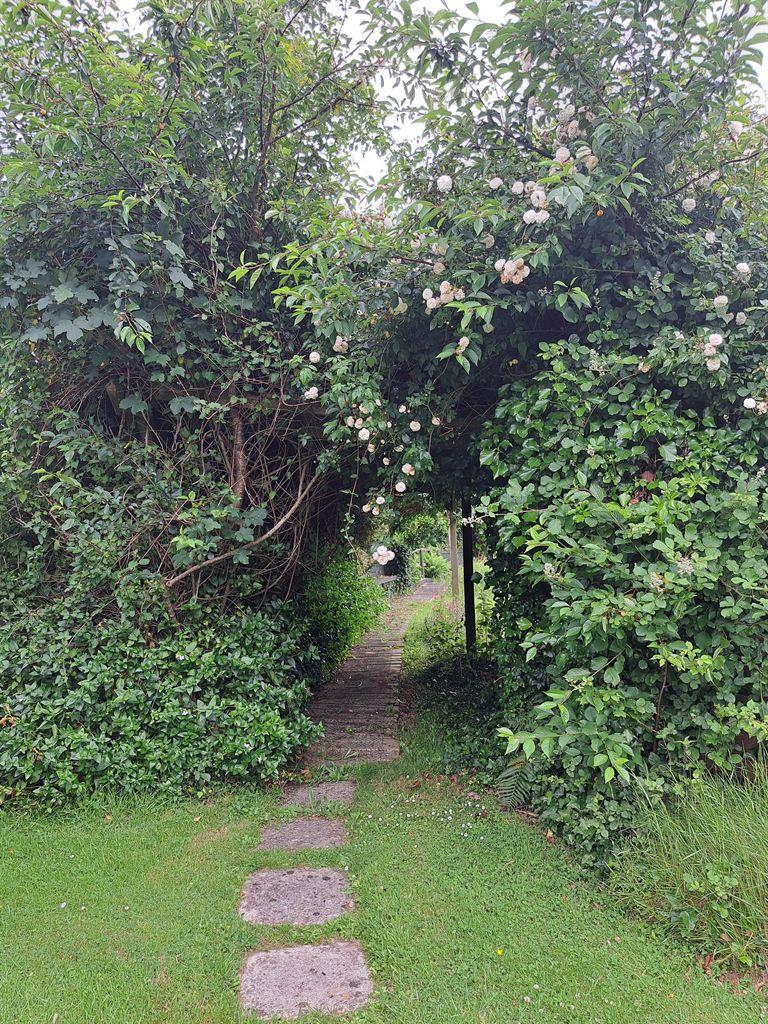 path