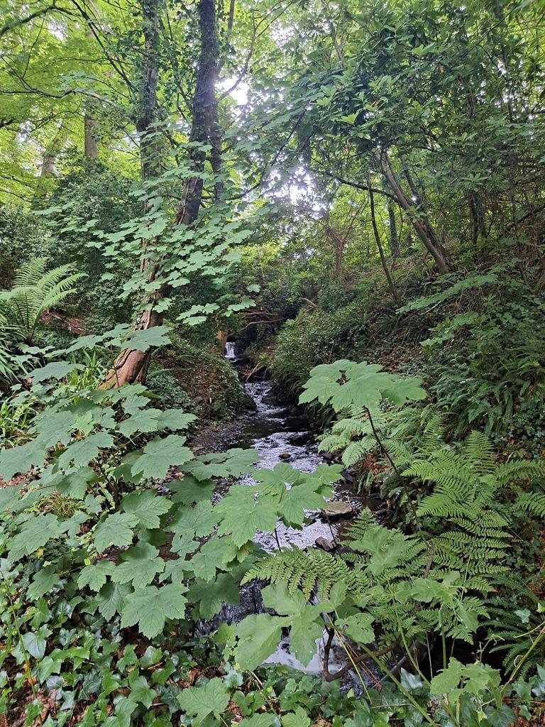 glen2