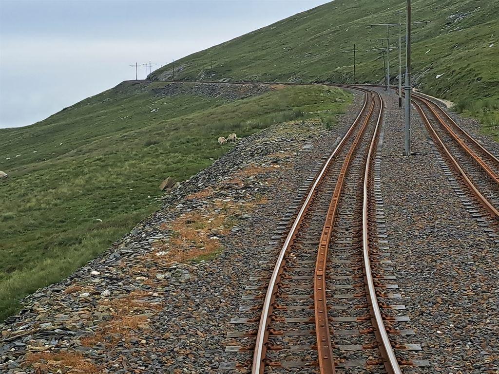 smr3