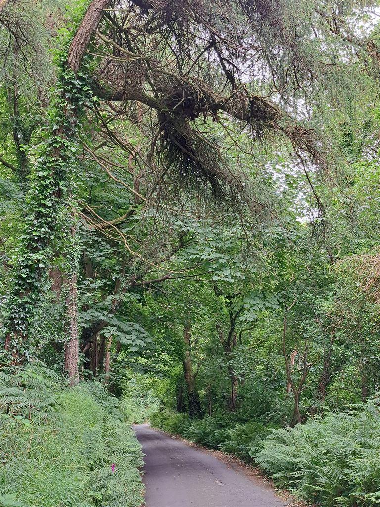 road