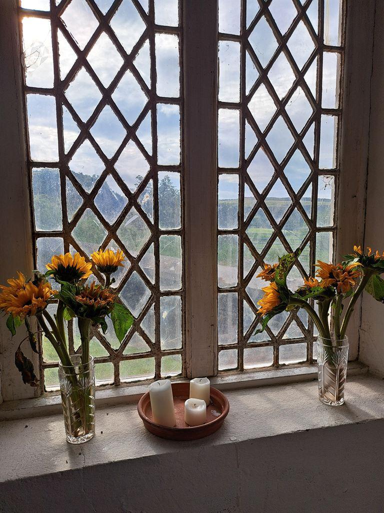 window