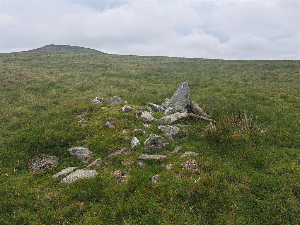 moor