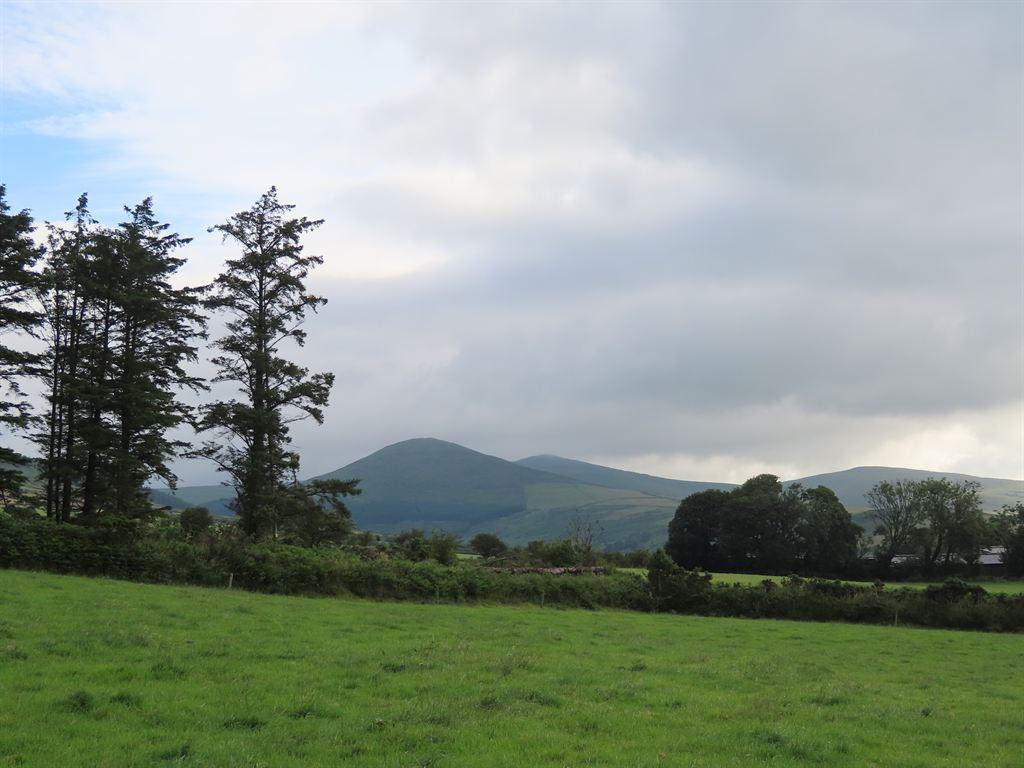 field