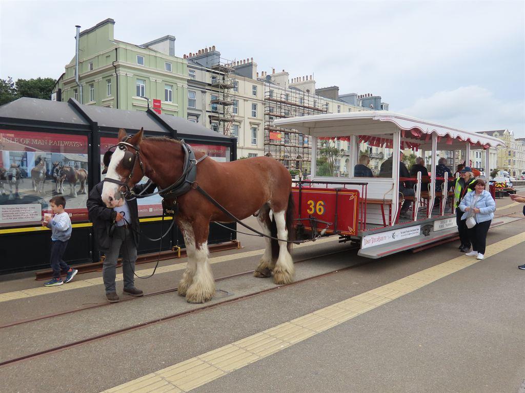 tram5