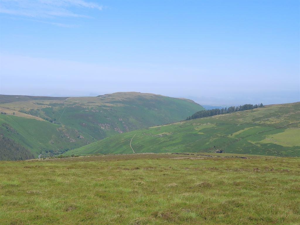 view1
