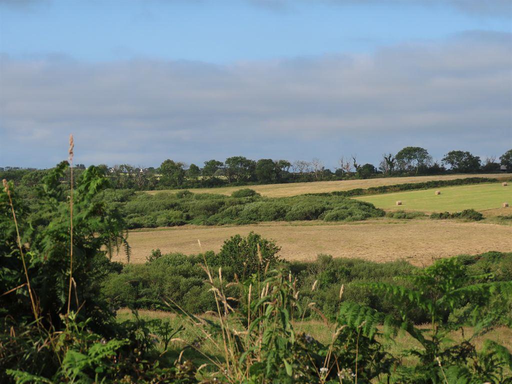 fields