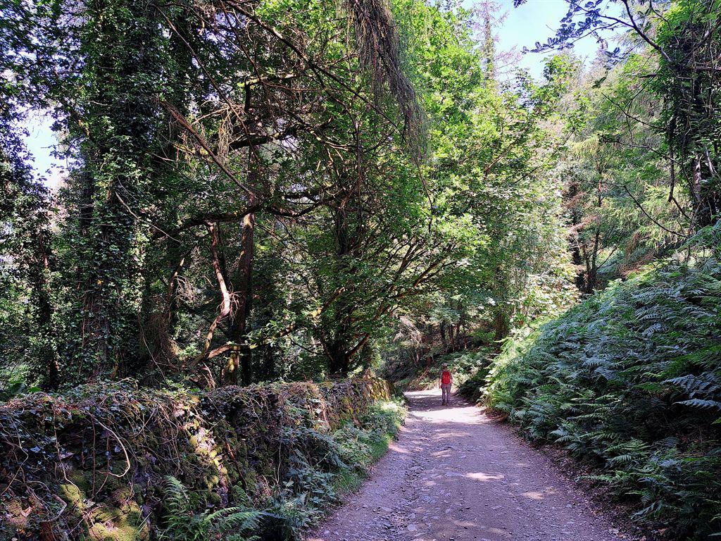 track3