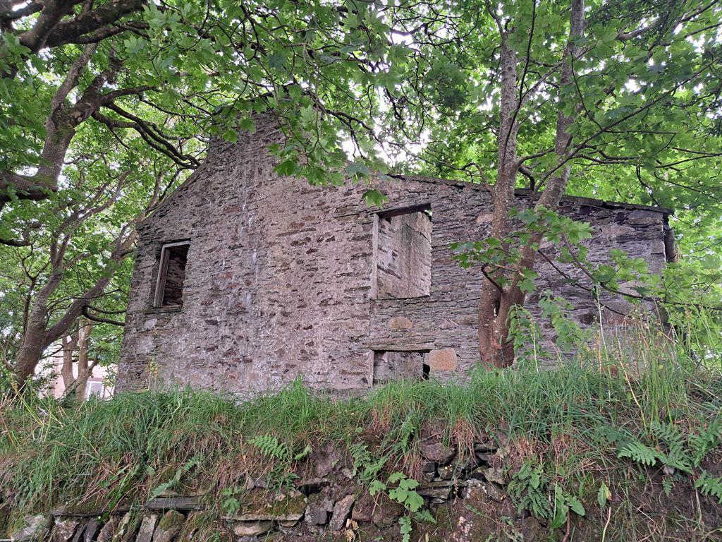 tholtan