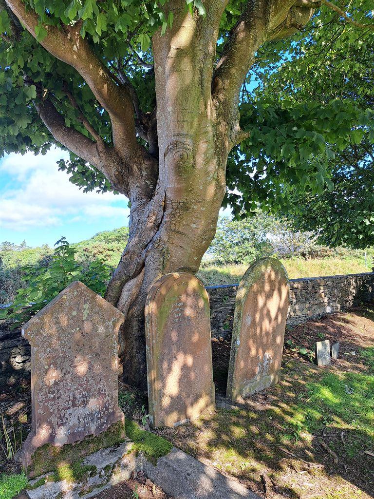 gravestones