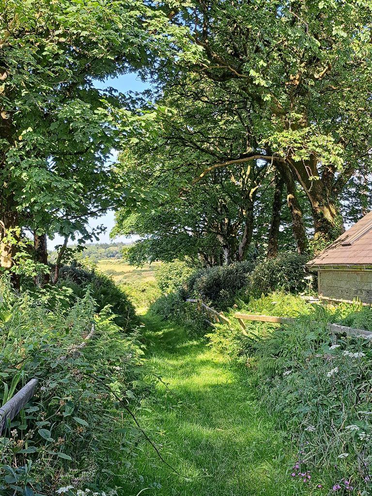 grassytrack