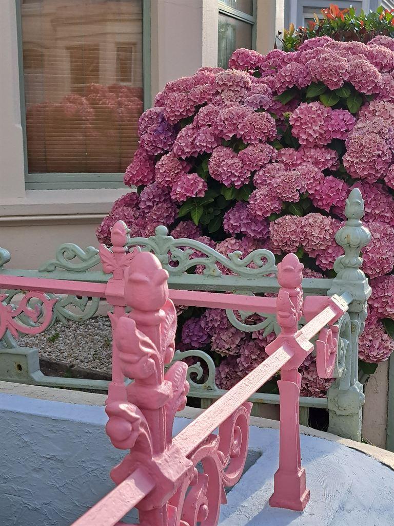 pink