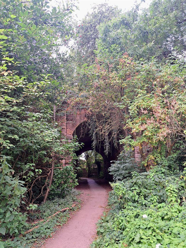 bridge